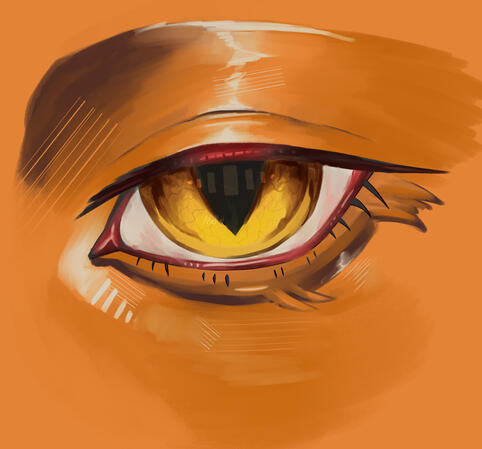Eye close-up Commission